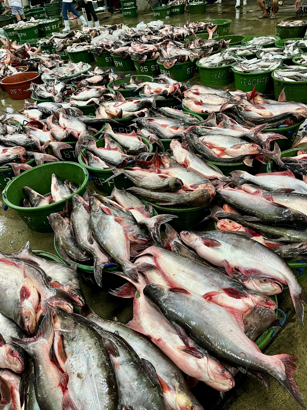 Loading a delivery truck with seafood orders