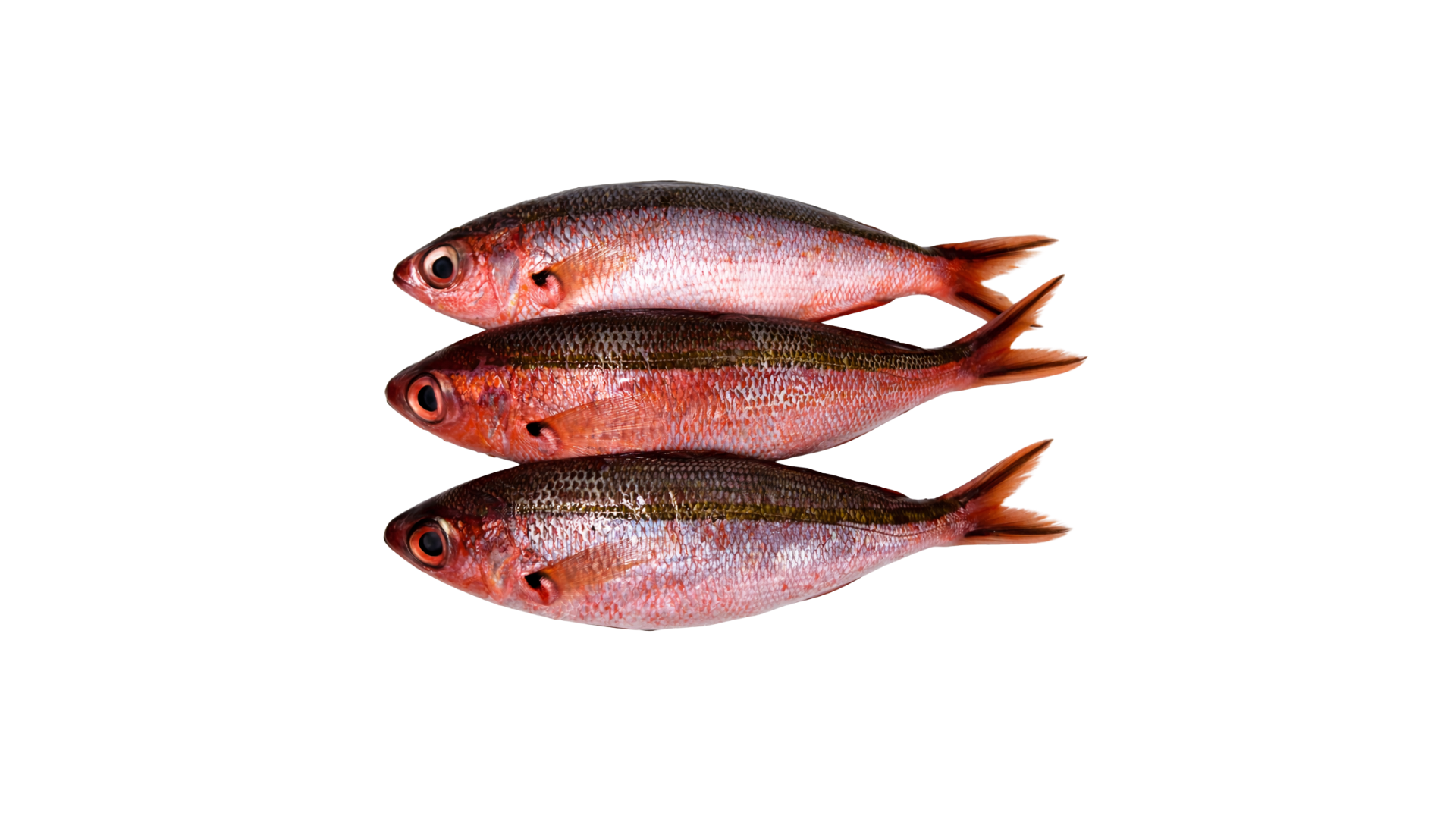 Dalagang Bukid (Bilog)