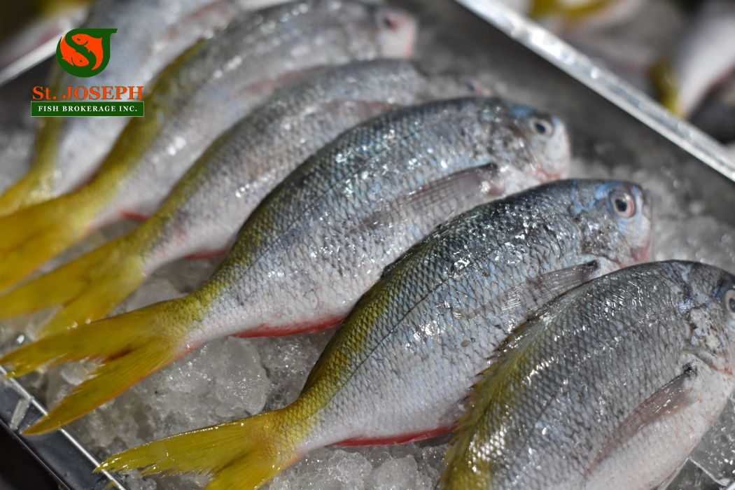 Dalagang Bukid (Lapad)