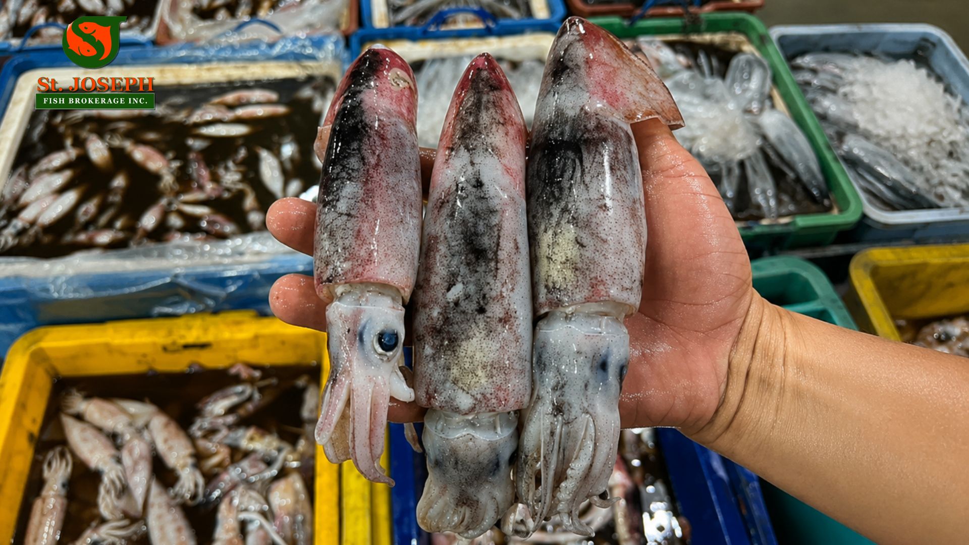 Pusit Kalawang