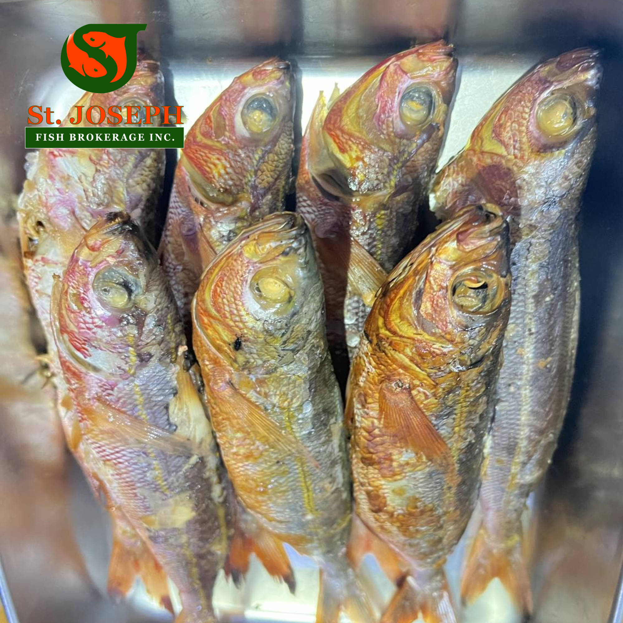 Tinapang Dalagang Bukid