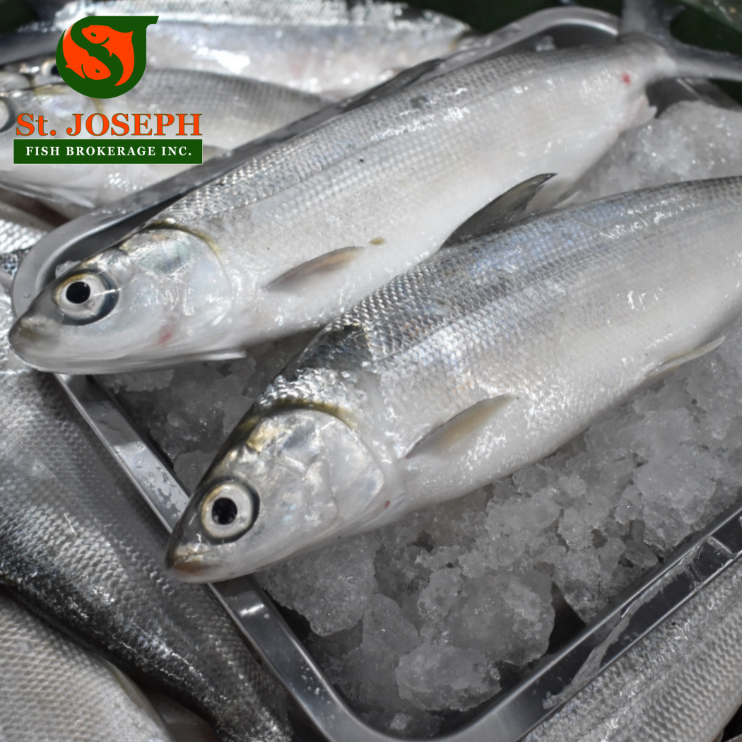 Bangus (Bulacan)