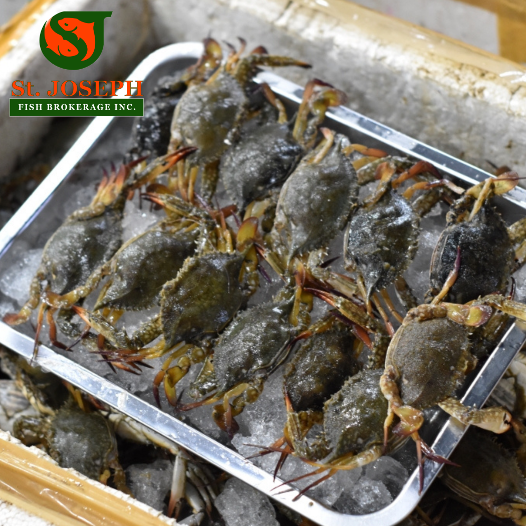 Alimasag (Bataan)