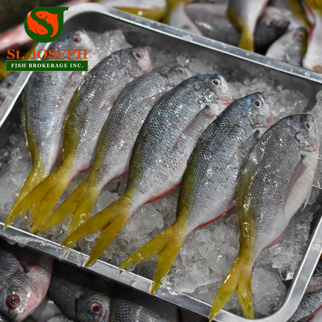 Dalagang Bukid (Lapad)