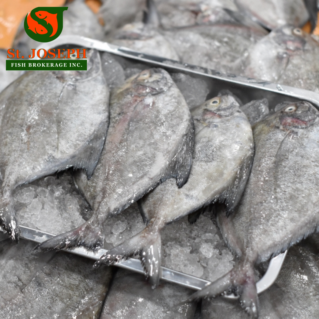 Pompano