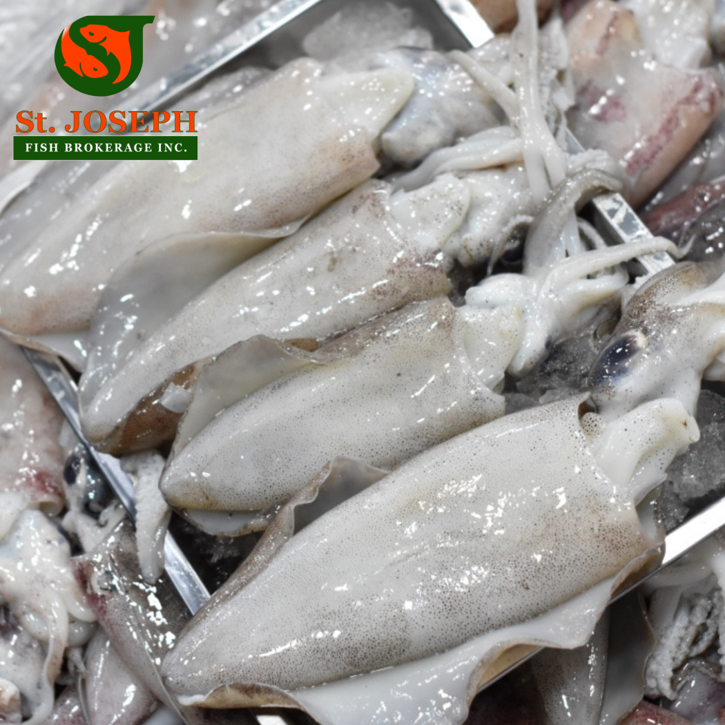 Pusit Lumot