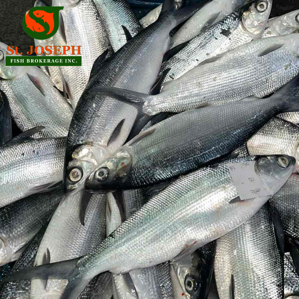 Bangus Pangasinan